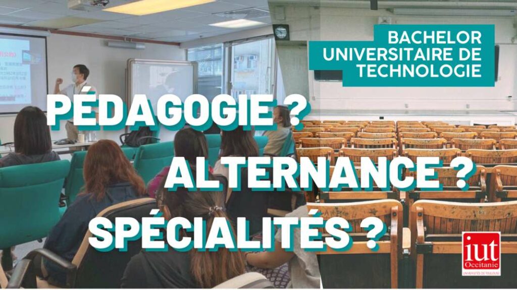 19 - Bachelor des IUT