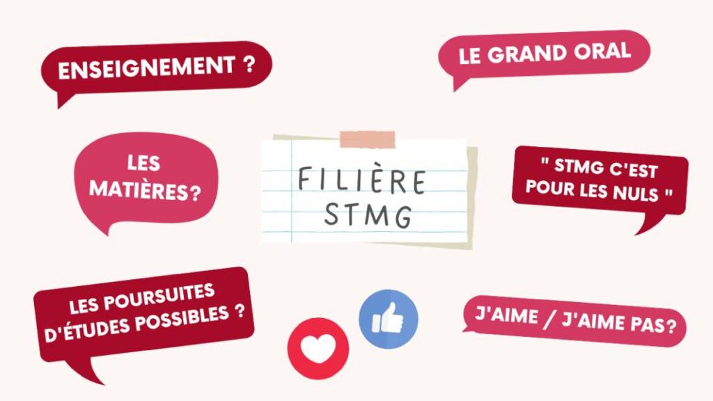 Illustration pour la vidéo "Tout savoir sur la filière STMG"