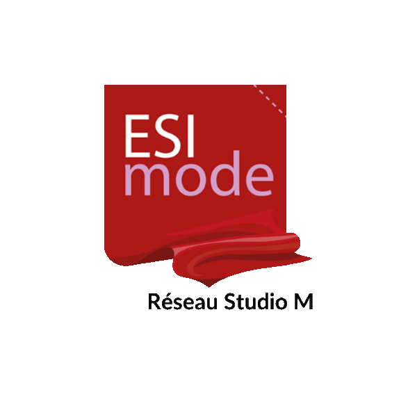 logo ESI mode